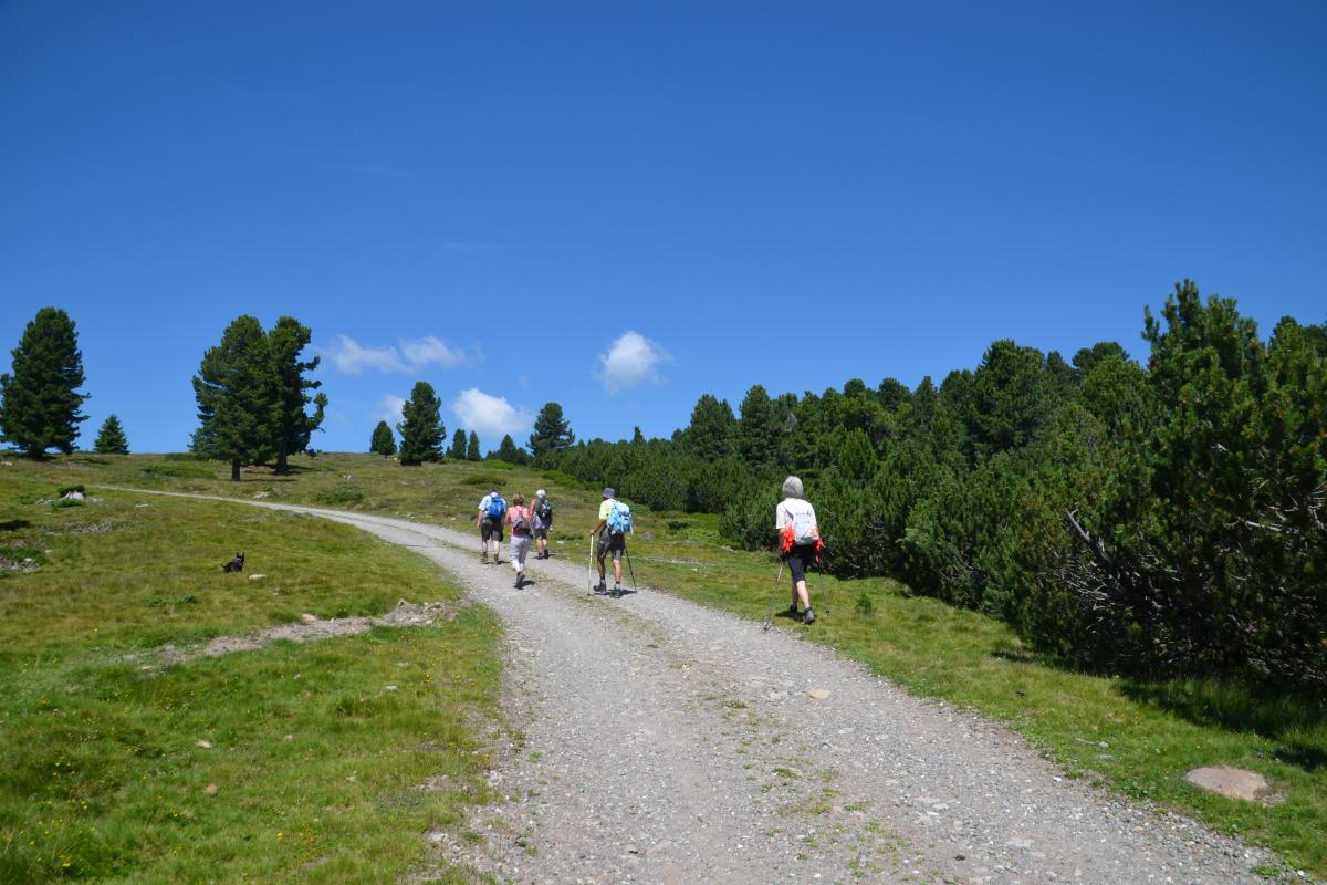 Latschenoelbrennerei und Platzer Alm 23.07.2019